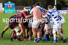 Tynedale v Rossendale, 2025 Tynedale Park, Corbridge, October 4th. Photo: David T. Hewitson/Sports for All Pics